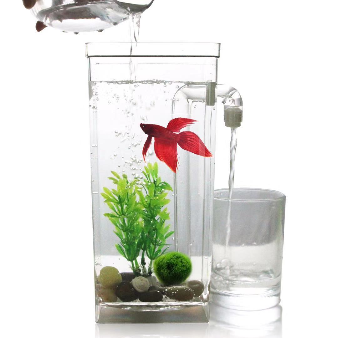 Aquarium Fish Betta - Lazy Free Water Change Desktop Fish