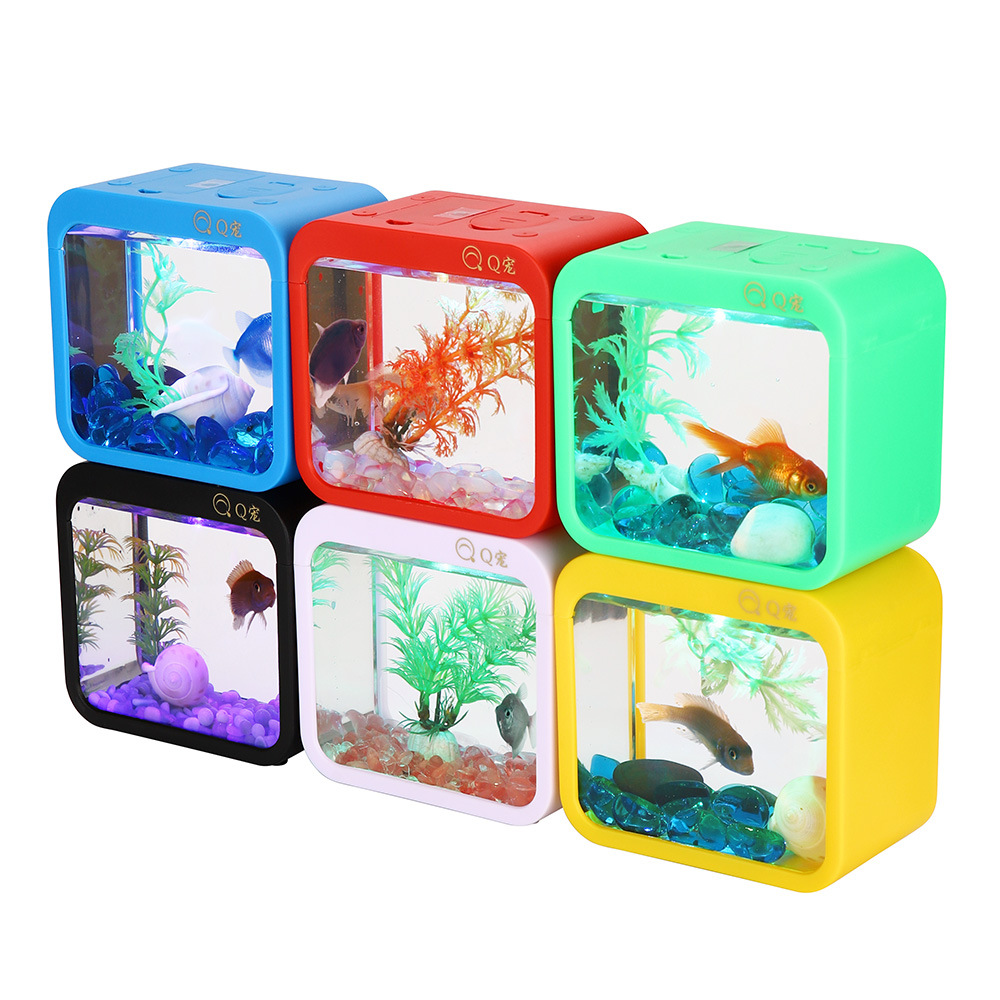 Colorful Creative Betta Box Wi - огляд і ціна Aquarium Fish Betta