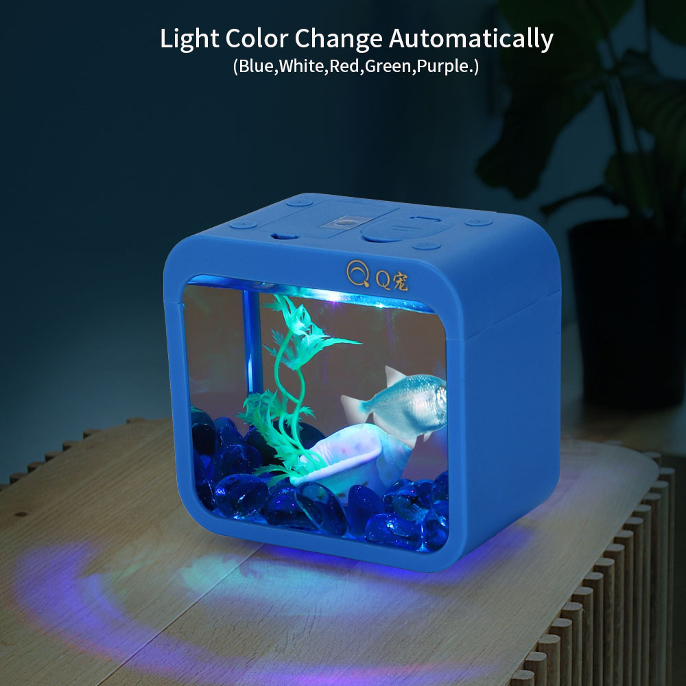 Colorful Creative Betta Box Wi - огляд і ціна Aquarium Fish Betta