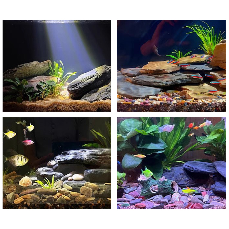 500/1000g Fish Tank Landscape  - огляд і ціна Aquarium Fish House