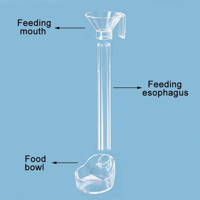 Acrylic Aquarium Fish Feeder T - огляд і ціна Aquarium Fish Feeder