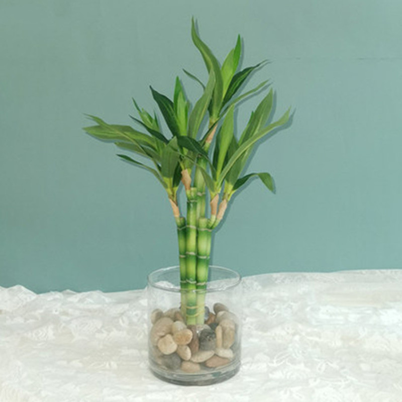 New 40cm Artificial Lucky Bamb - огляд і ціна Aquarium Fish Farm