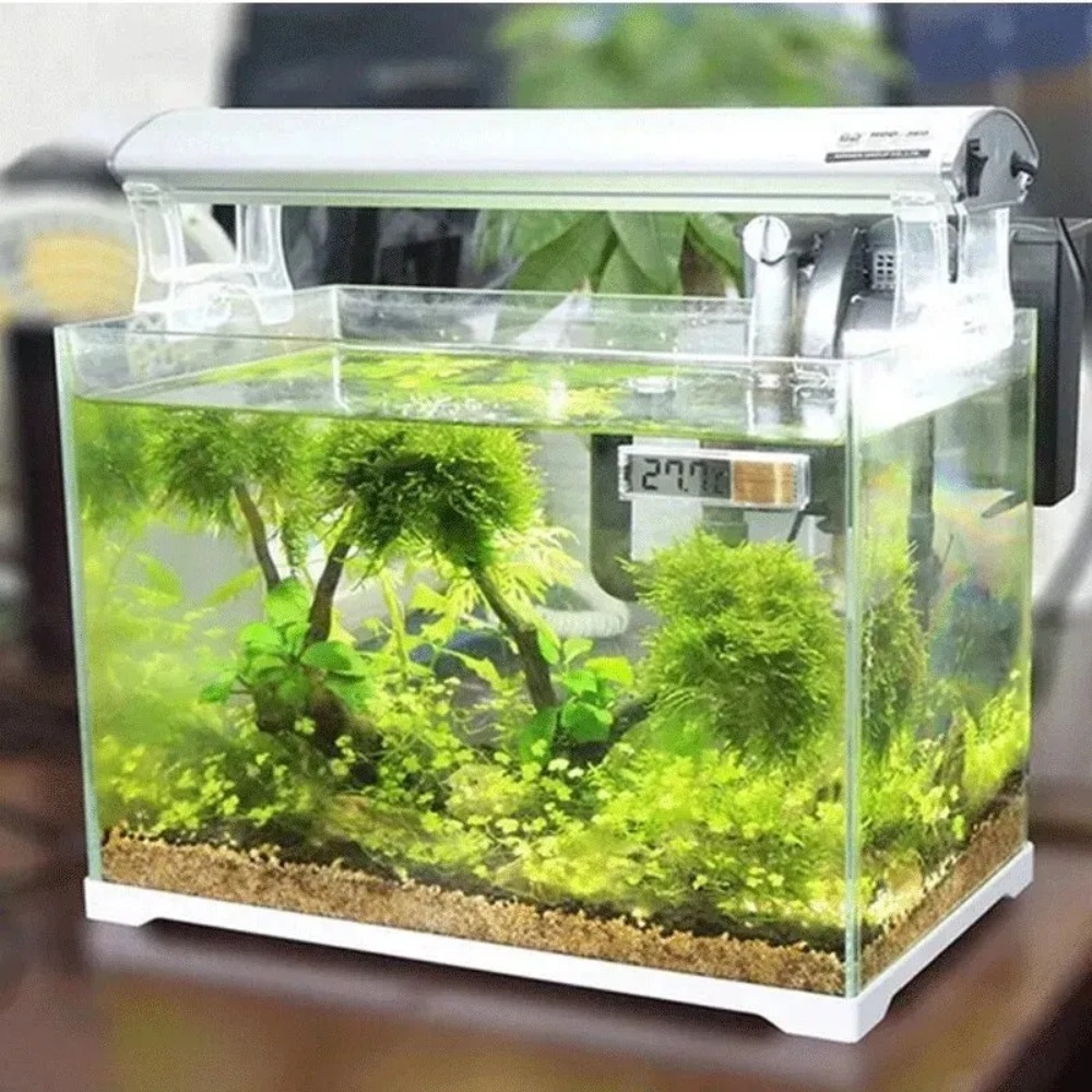 1PC Aquarium Thermometer Elect - огляд і ціна Aquarium Thermometer