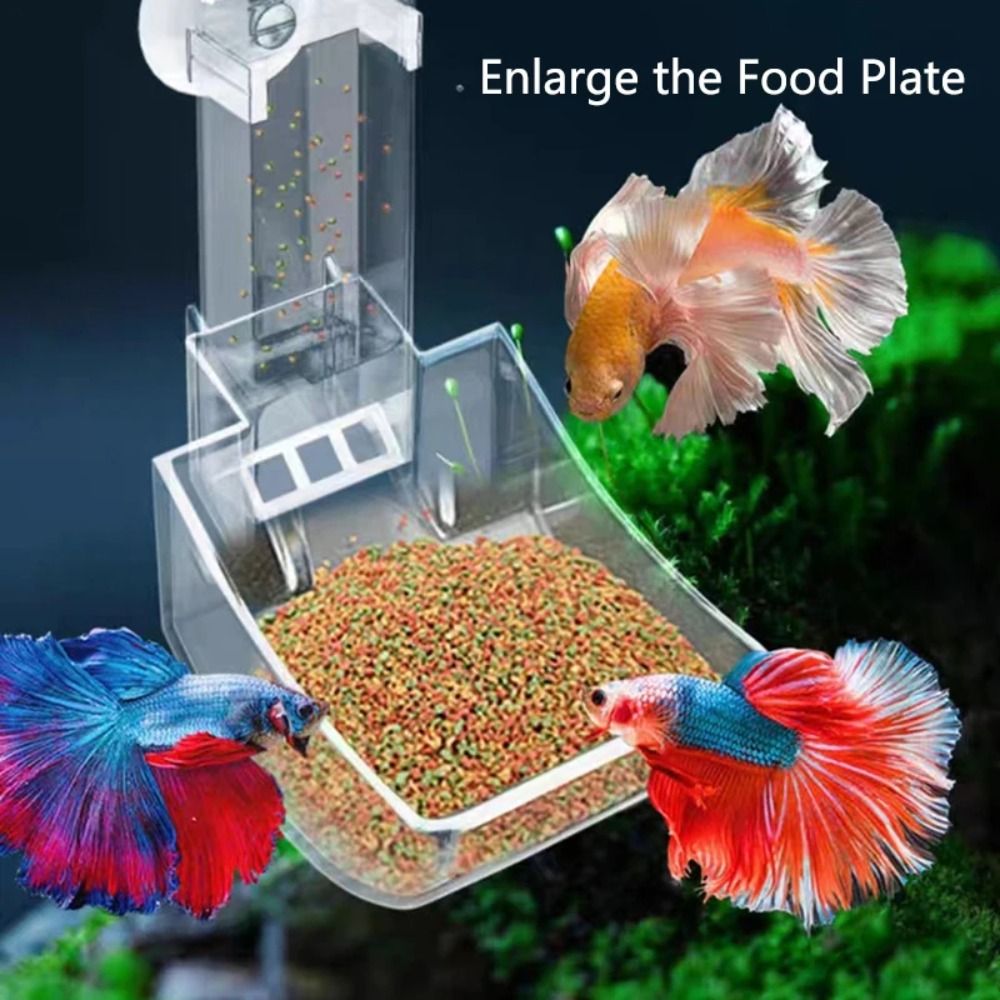 New Transparent Aquarium Fish  - огляд і ціна Aquarium Fish Feeder