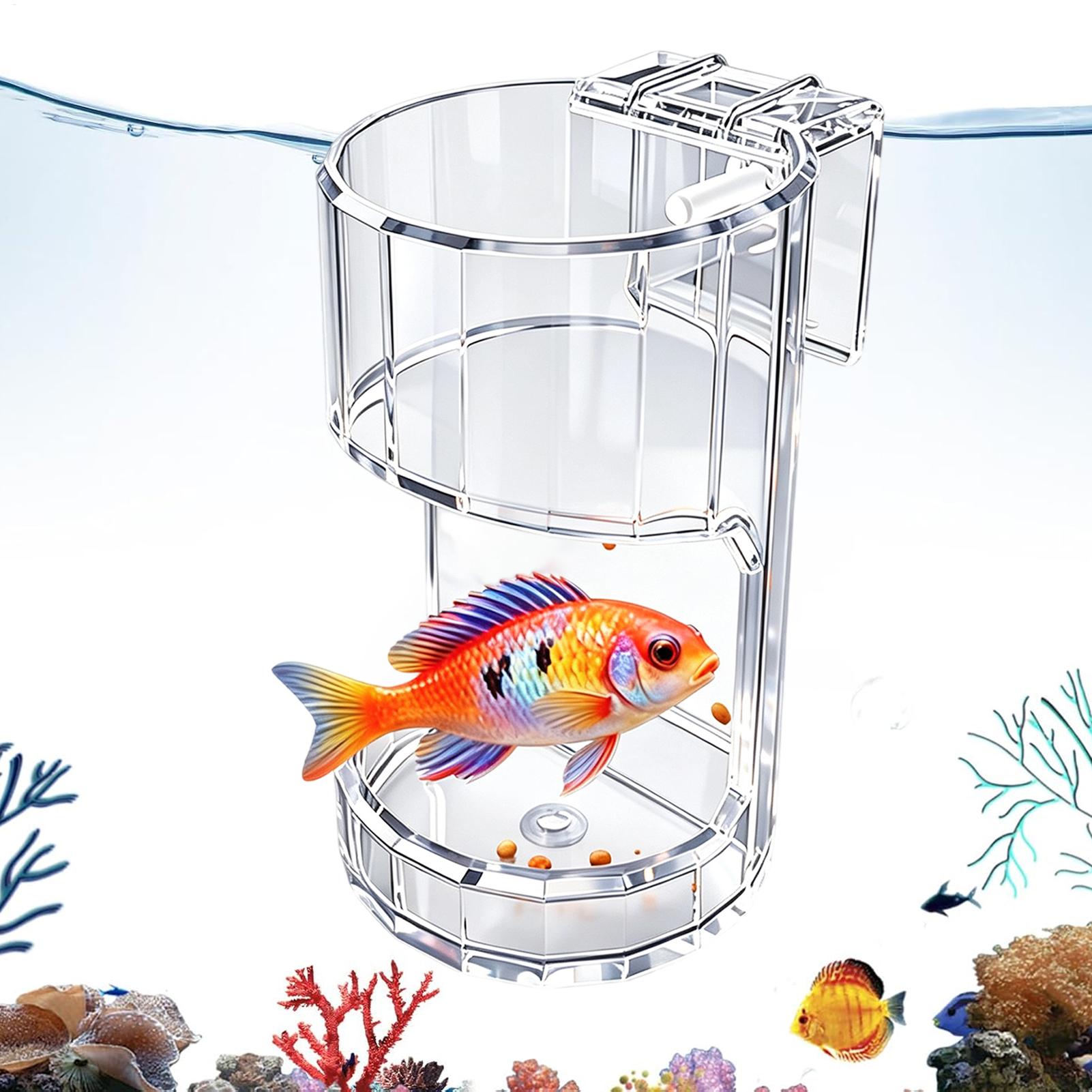 Aquarium Feeding Dish Transpar - огляд і ціна Aquarium Fish Feeder