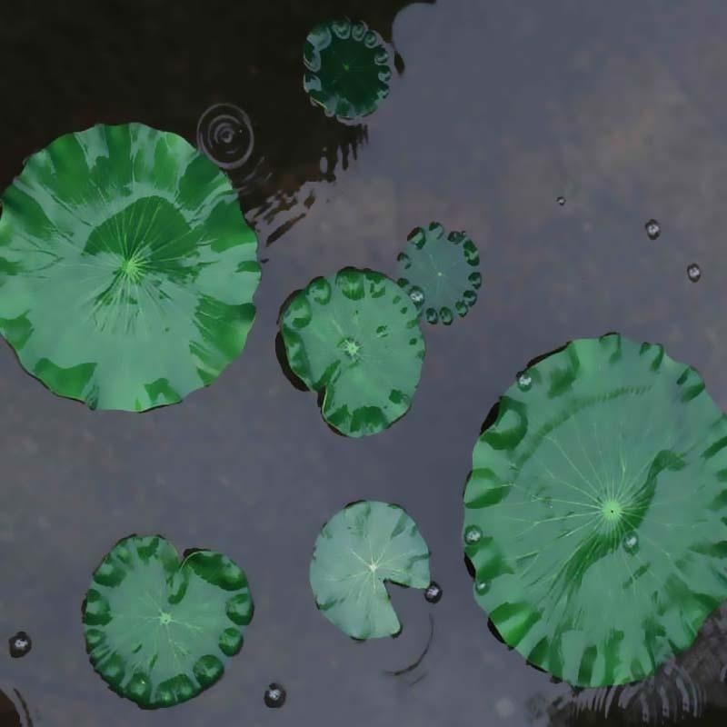 2026 Artificial Water Lily Lot - огляд і ціна Aquarium Fish Pond