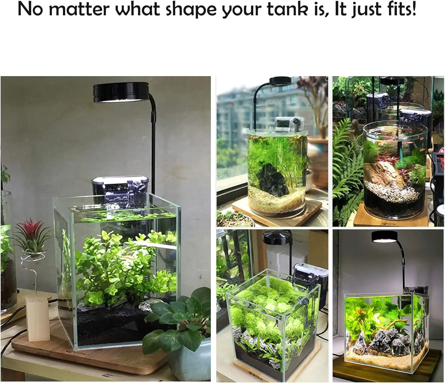 LED Aquarium Grow Light with B - огляд і ціна Aquarium Fish Betta