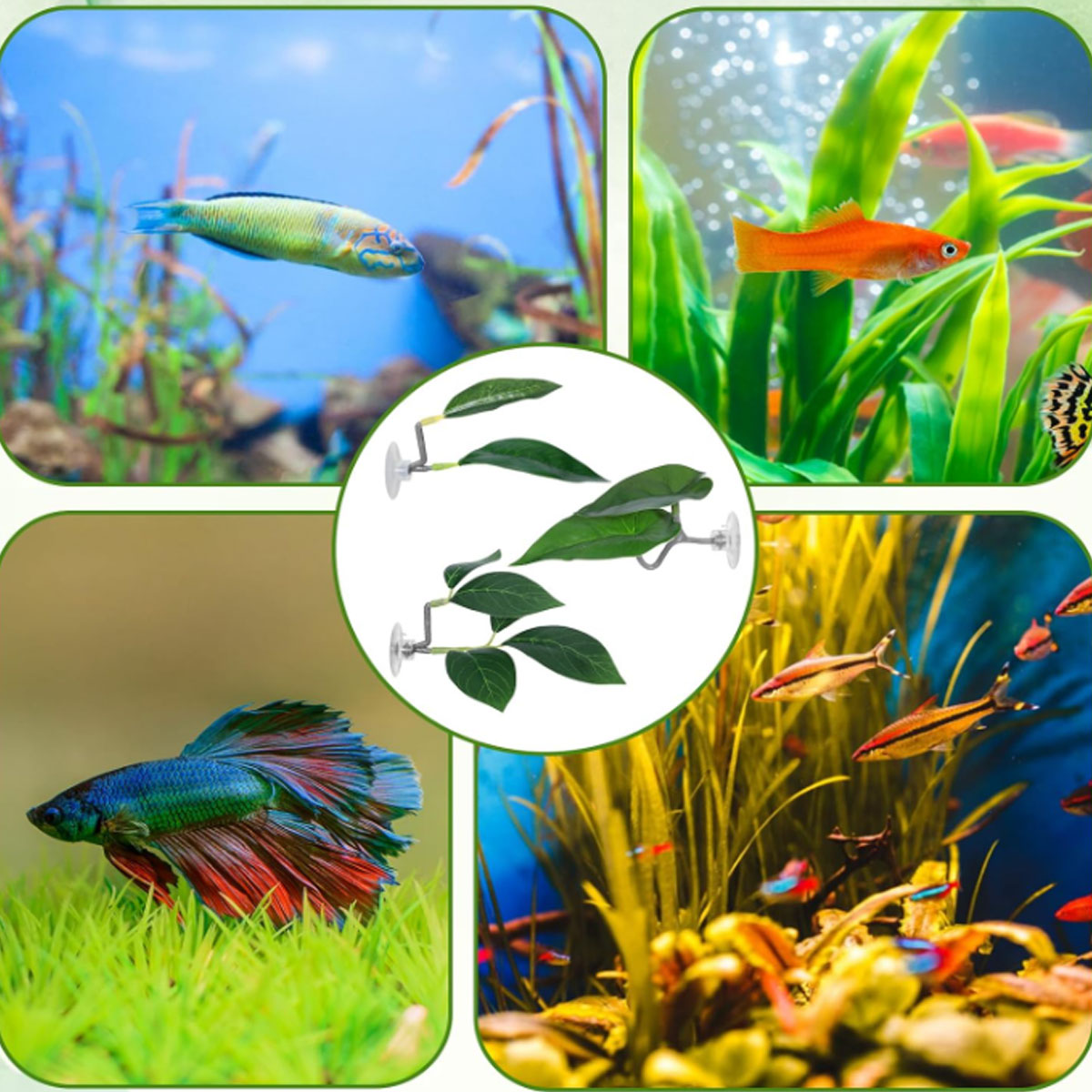 1 PC Betta Fish Hammock Soft A - огляд і ціна Aquarium Fish Betta
