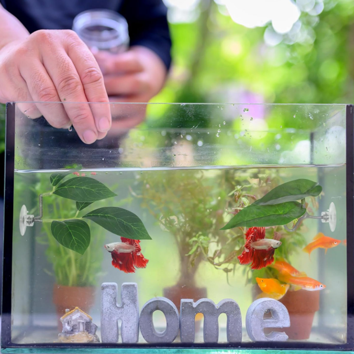 1 PC Betta Fish Hammock Soft A - огляд і ціна Aquarium Fish Betta