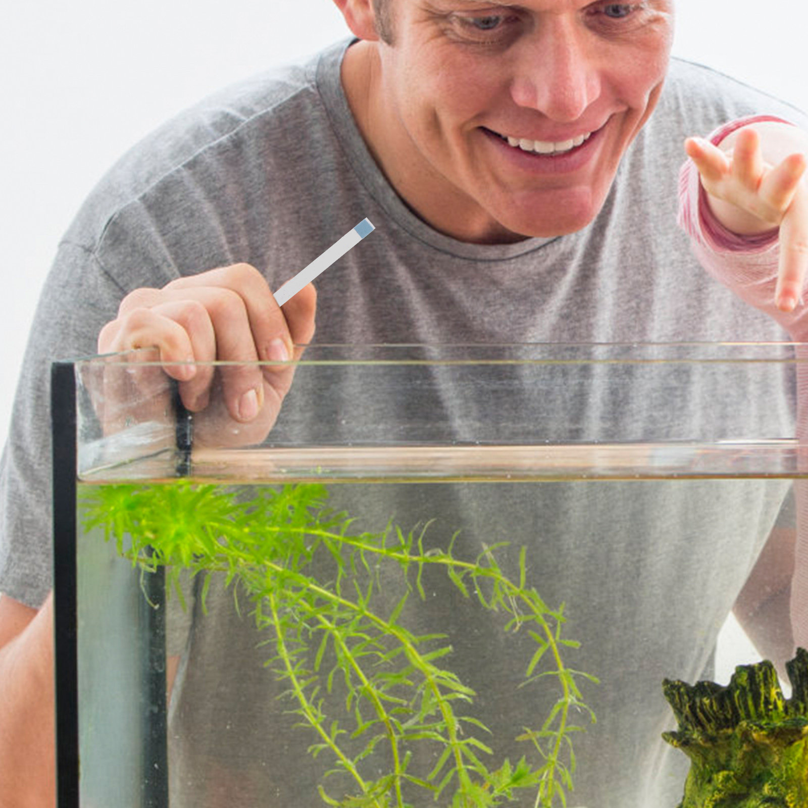 Swimming Pool Testing Strips H - огляд і ціна Aquarium Fish Pond