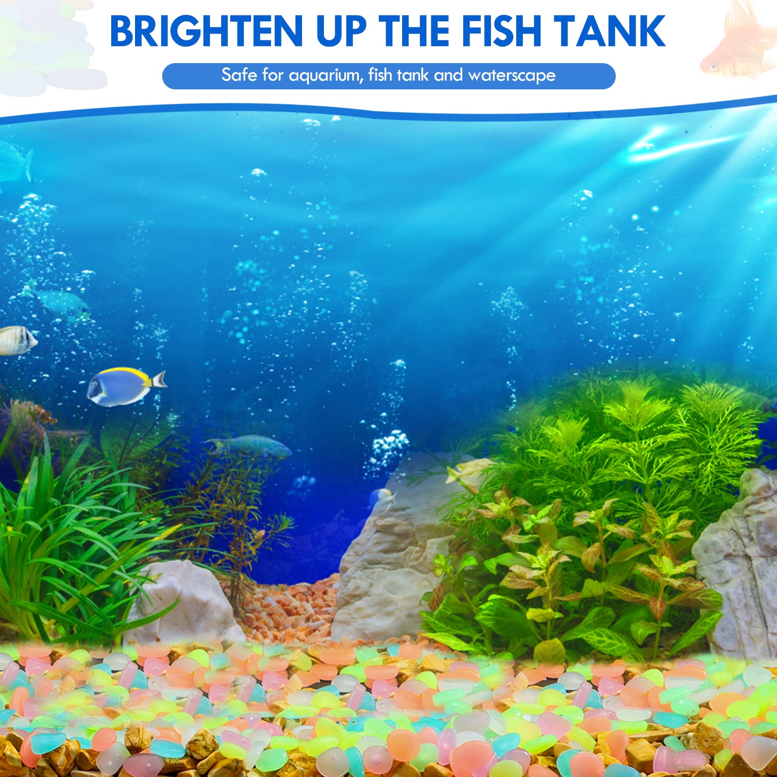 100Pcs Glow in the Dark Garden - огляд і ціна Aquarium Fish House