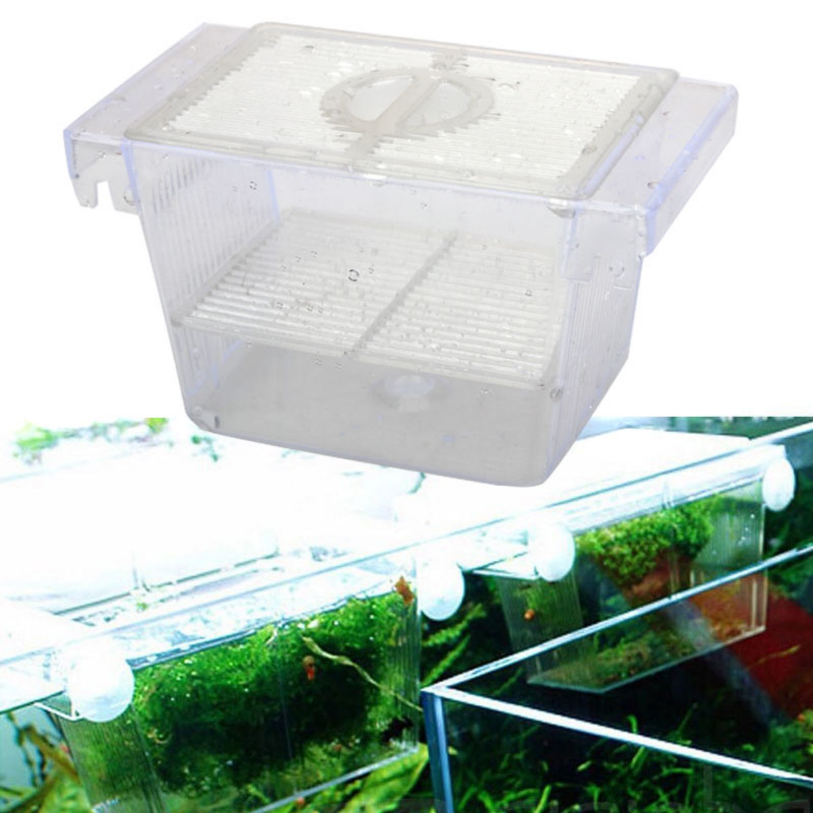Fish Tank Breeding Box Transpa - огляд і ціна Aquarium Fish Betta